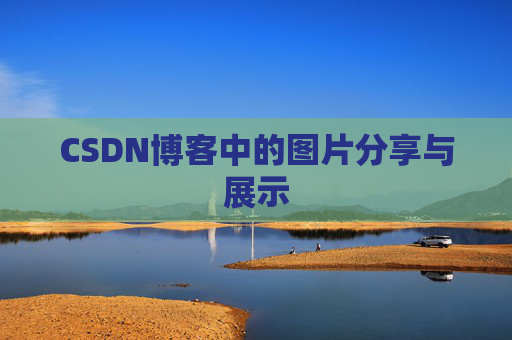 CSDN博客中的图片分享与展示